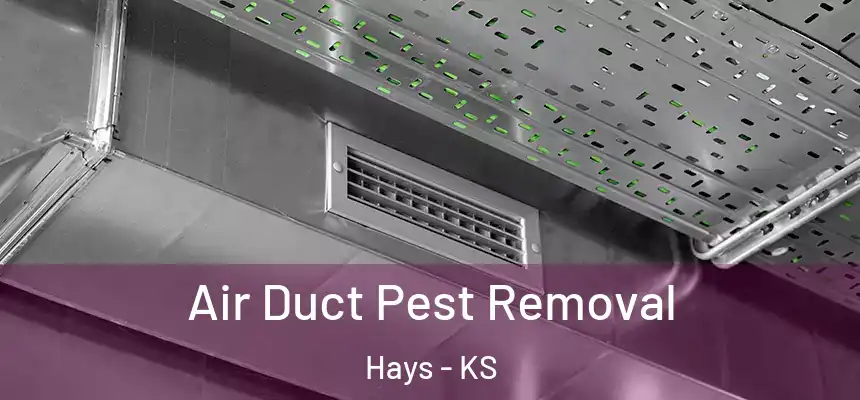  Air Duct Pest Removal Hays - KS