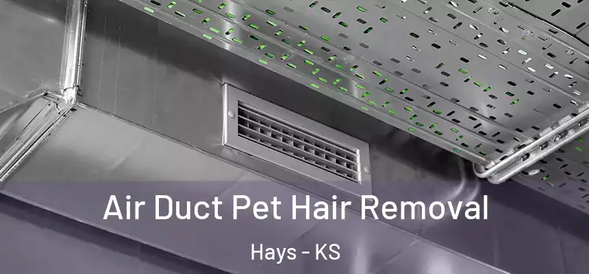  Air Duct Pet Hair Removal Hays - KS