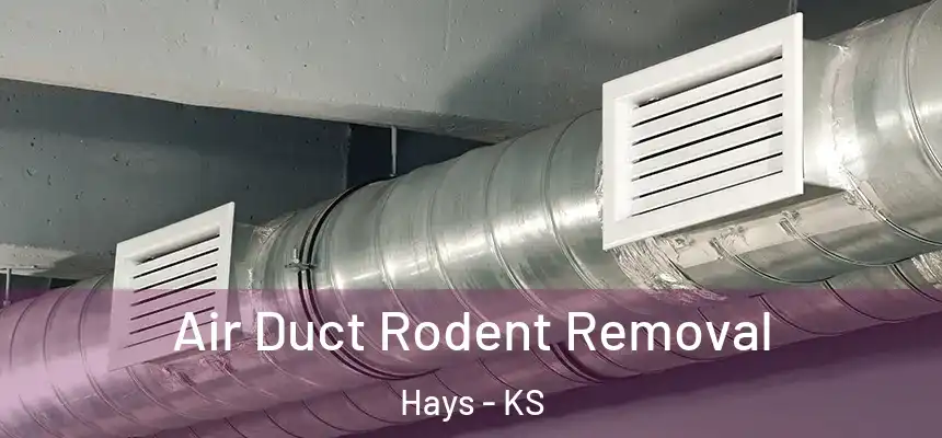  Air Duct Rodent Removal Hays - KS