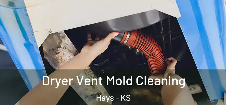 Dryer Vent Mold Cleaning Hays - KS