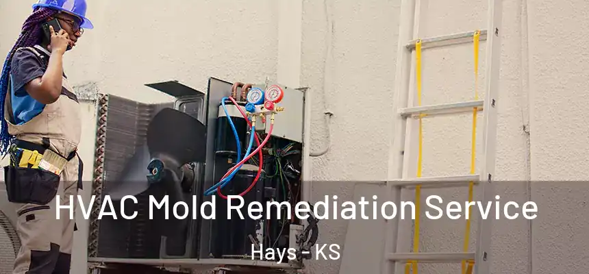  HVAC Mold Remediation Service Hays - KS