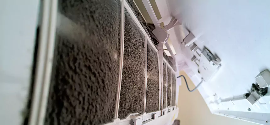 Preventive Air Duct Bacteria Removal in Hays