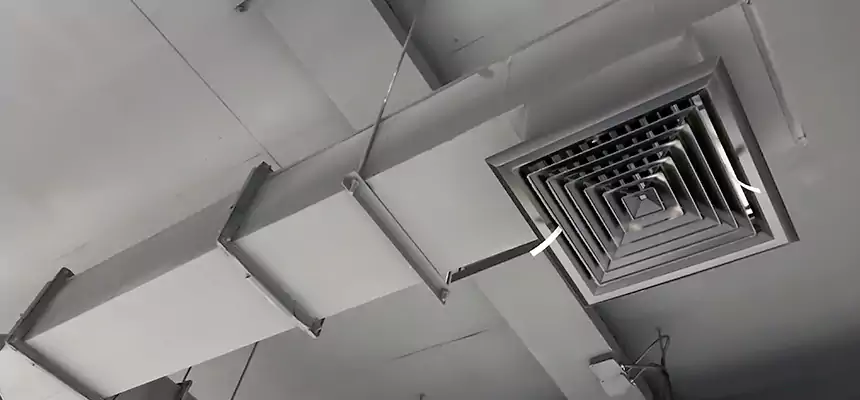 Our Rodent Droppings In Vents Services in Hays, KS