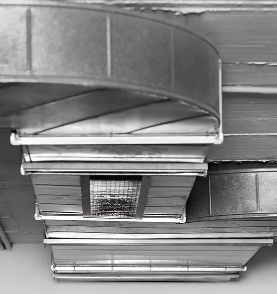 Professional Air Duct Pest Removal in Hays, KS