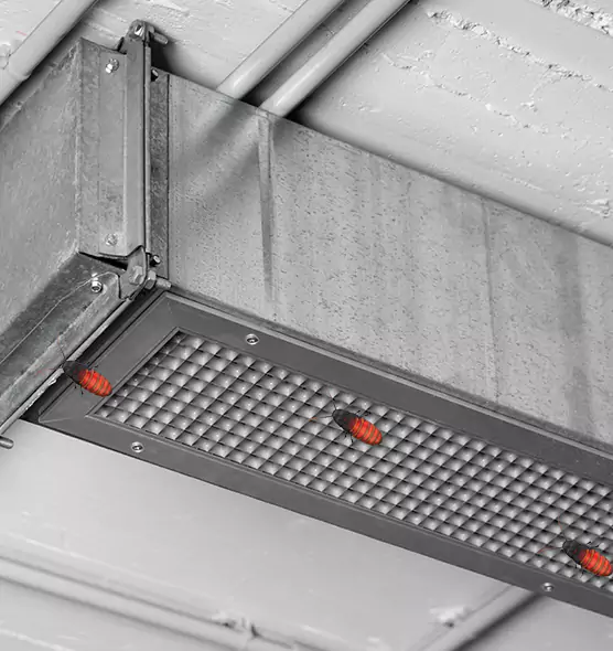 Affordable Insect Removal from Air Ducts in Hays, KS